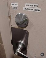 1000011053.jpg