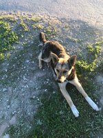 Копия IMG_8703.jpg