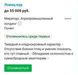 1757815926228.jpeg