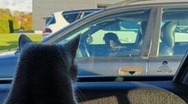 IMG_20251010_165413461_HDR~2 — крупный размер.jpeg