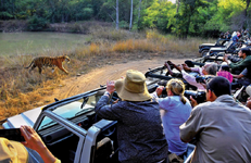 Завтрак принесли?.png