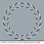 сколько кругов.jpg