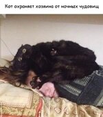 ohran.jpg