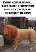 1775915985366.png