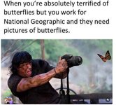 10846.jpg