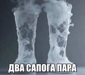 para.jpg