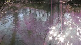 Тройное Дно.jpg