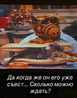 20961194.jpg