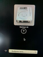 IMG_1500.jpeg