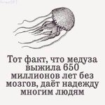 Dpu50a8U0AAzU9Y.jpg