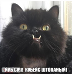 1782420770537.png
