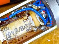 5350634927415826682.jpg