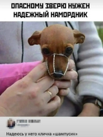 1784101281309.png