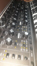 20260716_185722.jpg