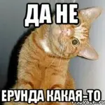 56.webp