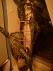 DSC00150.jpg