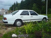 81e7bba5.jpg