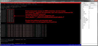 SWS Custom Scripts.jpg