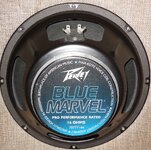 peavey bm.JPG