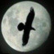 Corvus13