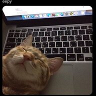 Анастасия:)