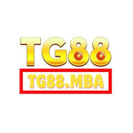 tg88mba