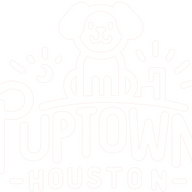 puptownhoustondogtraining