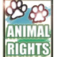 Animal Rights
