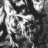 Vsemir_Rosich
